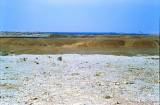 Oase El Golea Sahara