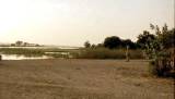 Wasserträgerin am Niger