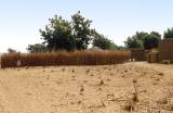 Dorf im Tal des Niger