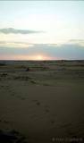 Morgenstimmung im Weichsandfeld