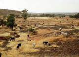 Landschaft im Nigertal