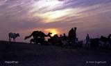 Abendstimmung beim Pushkar Mela