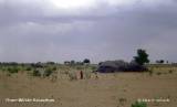 An der Bahnstrecke durch die Tharr in Rajasthan