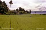 Indonesien: Ambarita auf Samosir im Tobasee