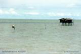 Fischereiplattform vor der malayischen Küste