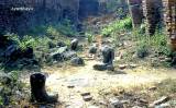Zufallsfoto aus Thailand