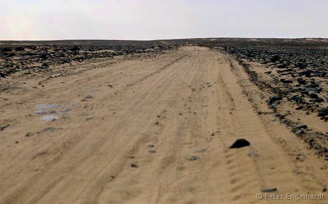Algerien Wüste Sahara Piste