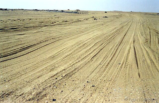 Algerien Sahara Spuren Piste