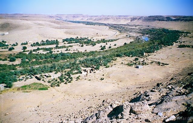 Algerien Wadi Ghardaia Sahara Flußtal