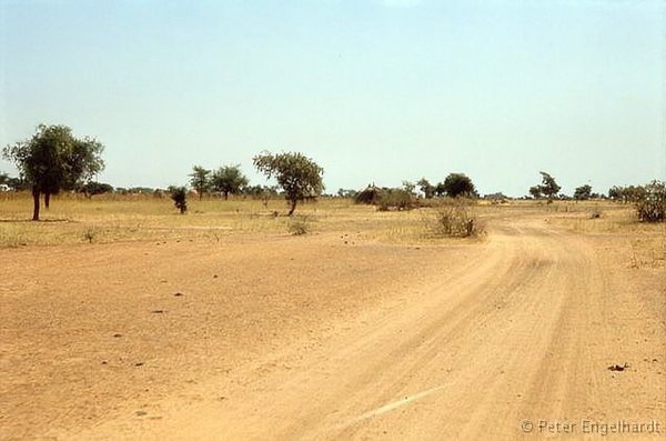 Aufnahme einer Piste im Sahel von Burkina Faso.