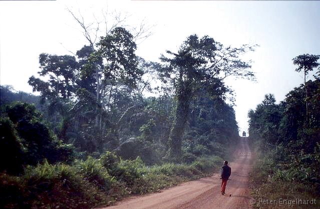 Straße in der Elfenbeinküste