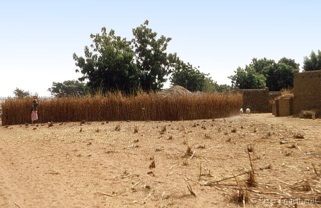 Ein typisches Dorf am Niger.