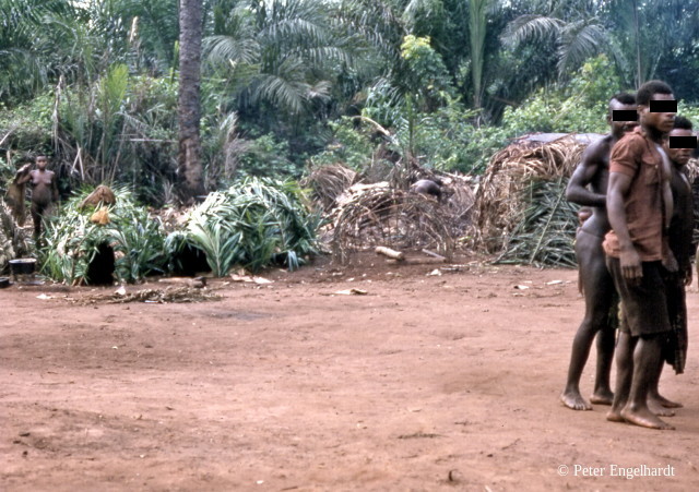 Pygmäenlager Zentralafrikanische Republik Pygmäen