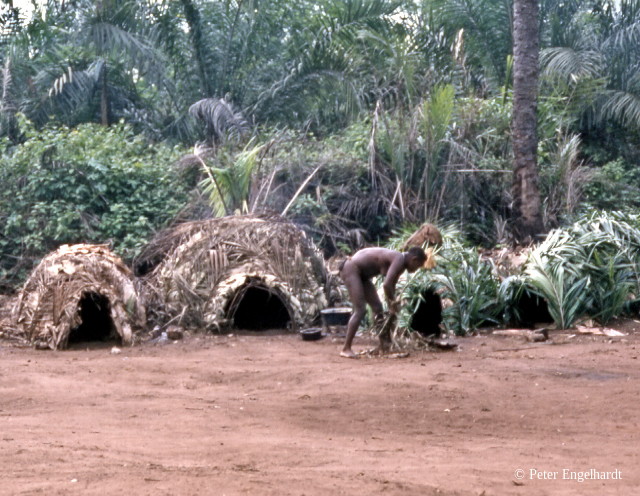 Pygmäen Lager Hütte Bau Zentralafrikanische Republik Tropischer Regenwald