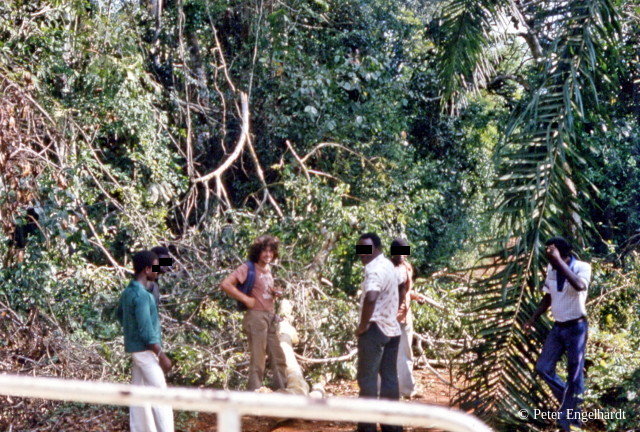 Straße Urwald Zentralafrikanische Republik