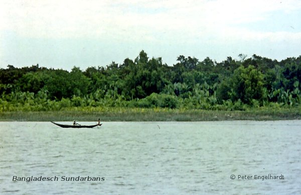Typisches Fischerboot in den Sundarbans