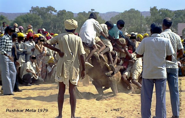 Sportliche Veranstaltung während des Pushkar Mela