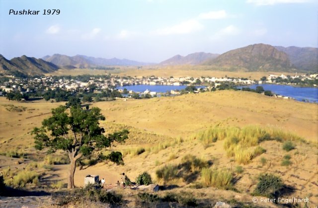 Fast der gesamte Ort Pushkar ist auf diesem Foto erfasst.