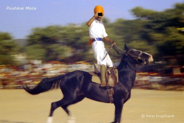 Parade eines Reiters der indischen Kavallerie auf dem offiziellen Festplatz beim Pushkar Mela. Parade eines Reiters der indischen Kavallerie auf dem offiziellen Festplatz beim Pushkar Mela.