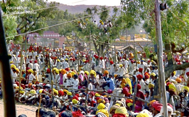 Auf dem abgegrenzten Platz, auf dem die von offizieller Hand organisierten Veranstaltungen zum Kartik Purnima abgehalten wurden, drängten sich viele Zuschauer, manche bestiegen sogar Bäume um besser sehen zu können.