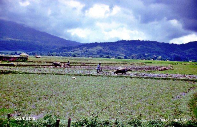 Landschaft auf Sumatra