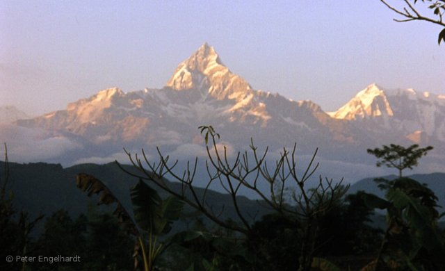 Machapuchare im Annapurna-Massiv von Pokhara aus gesehen