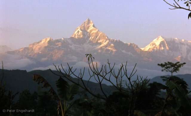 Machapuchare im Annapurna-Massiv von Pokhara aus gesehen