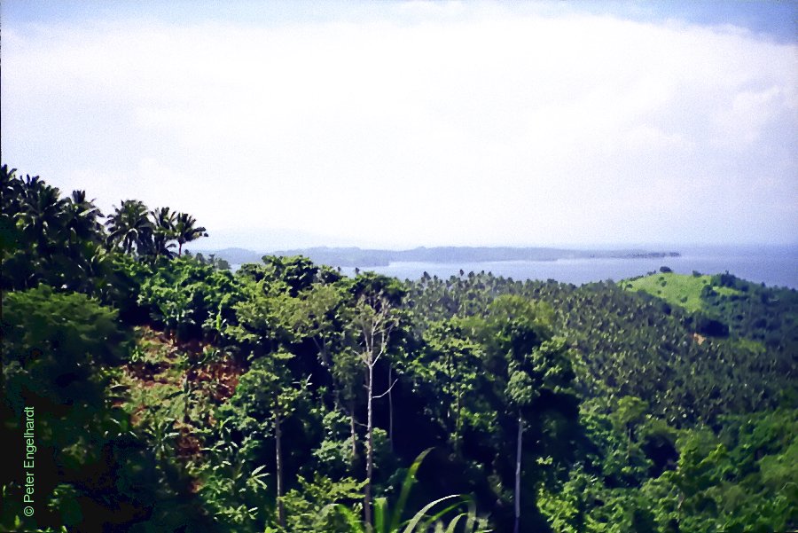 Halbinsel von Puerto Galera