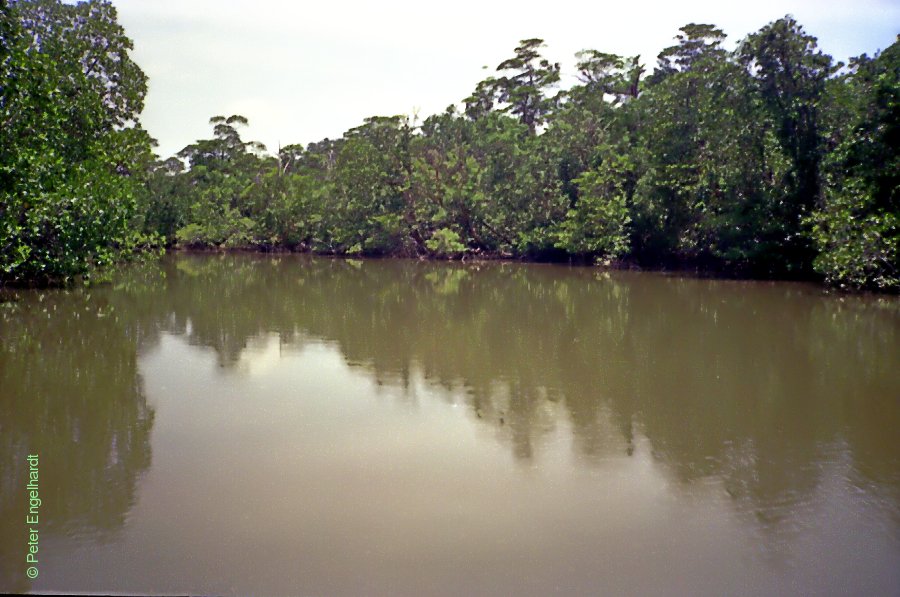 Lagune im Malampaya Sund
