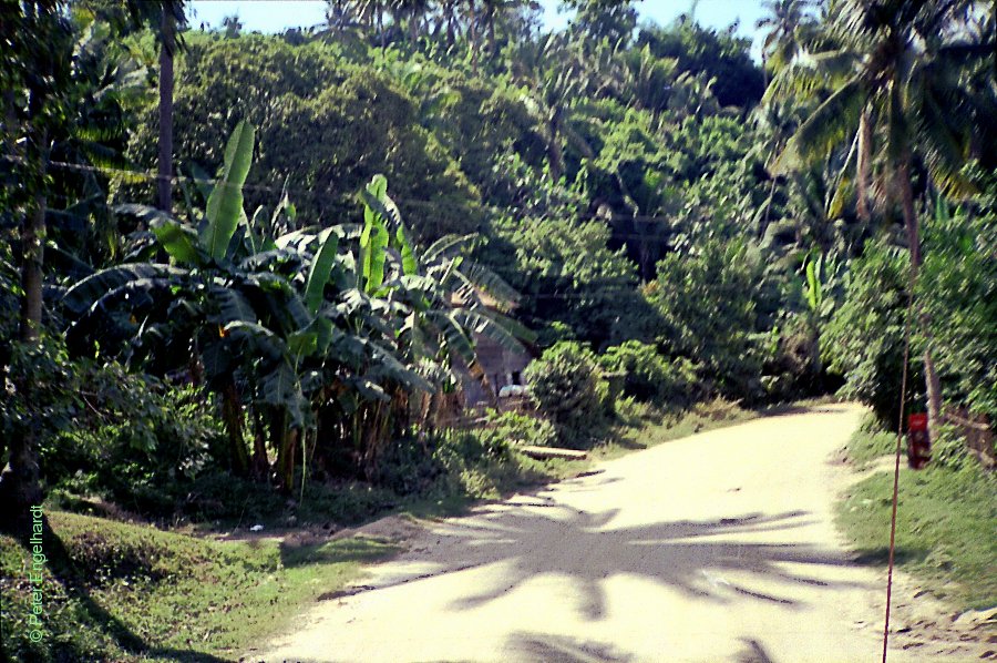 Küstenstraße auf Mindoro