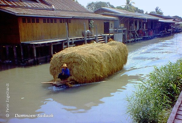 Zufallsfoto aus Thailand