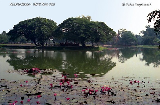 Sukhothai Wat Sra Sri